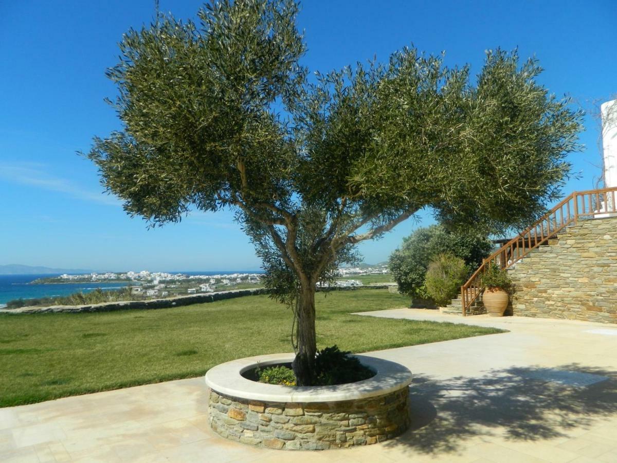 Grace Villa Tinos Island Bagian luar foto
